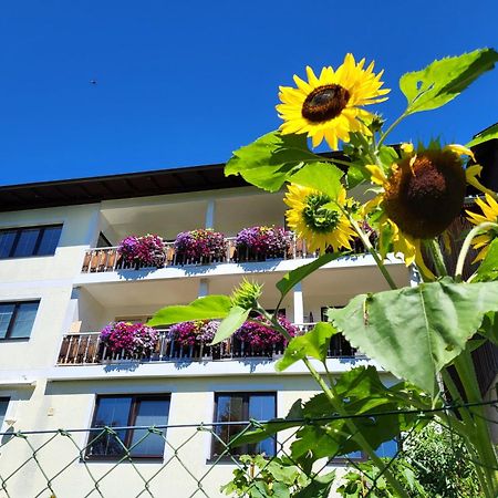 Gaestehaus Herma Ramsau am Dachstein Eksteriør bilde