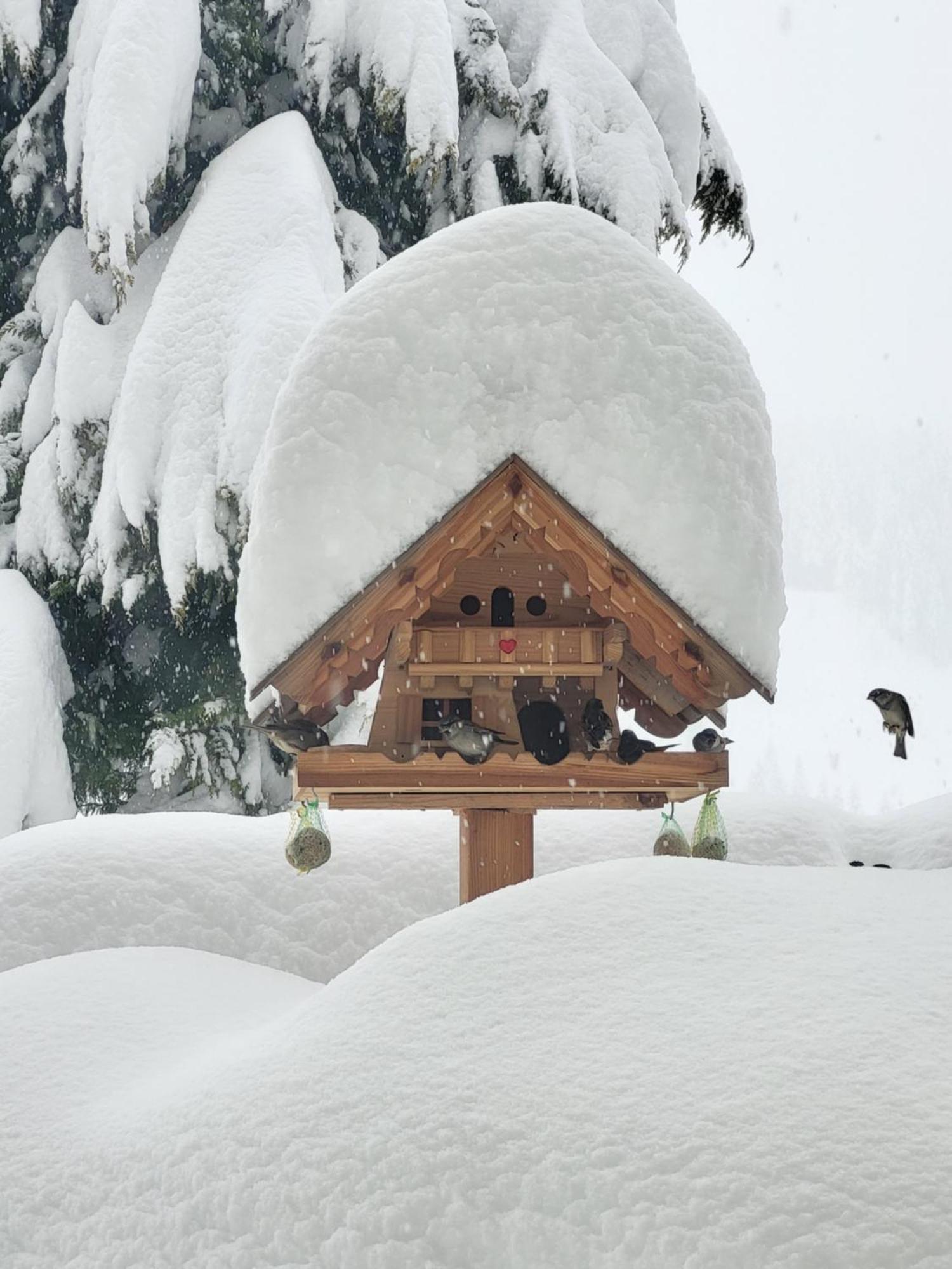 Gaestehaus Herma Ramsau am Dachstein Eksteriør bilde