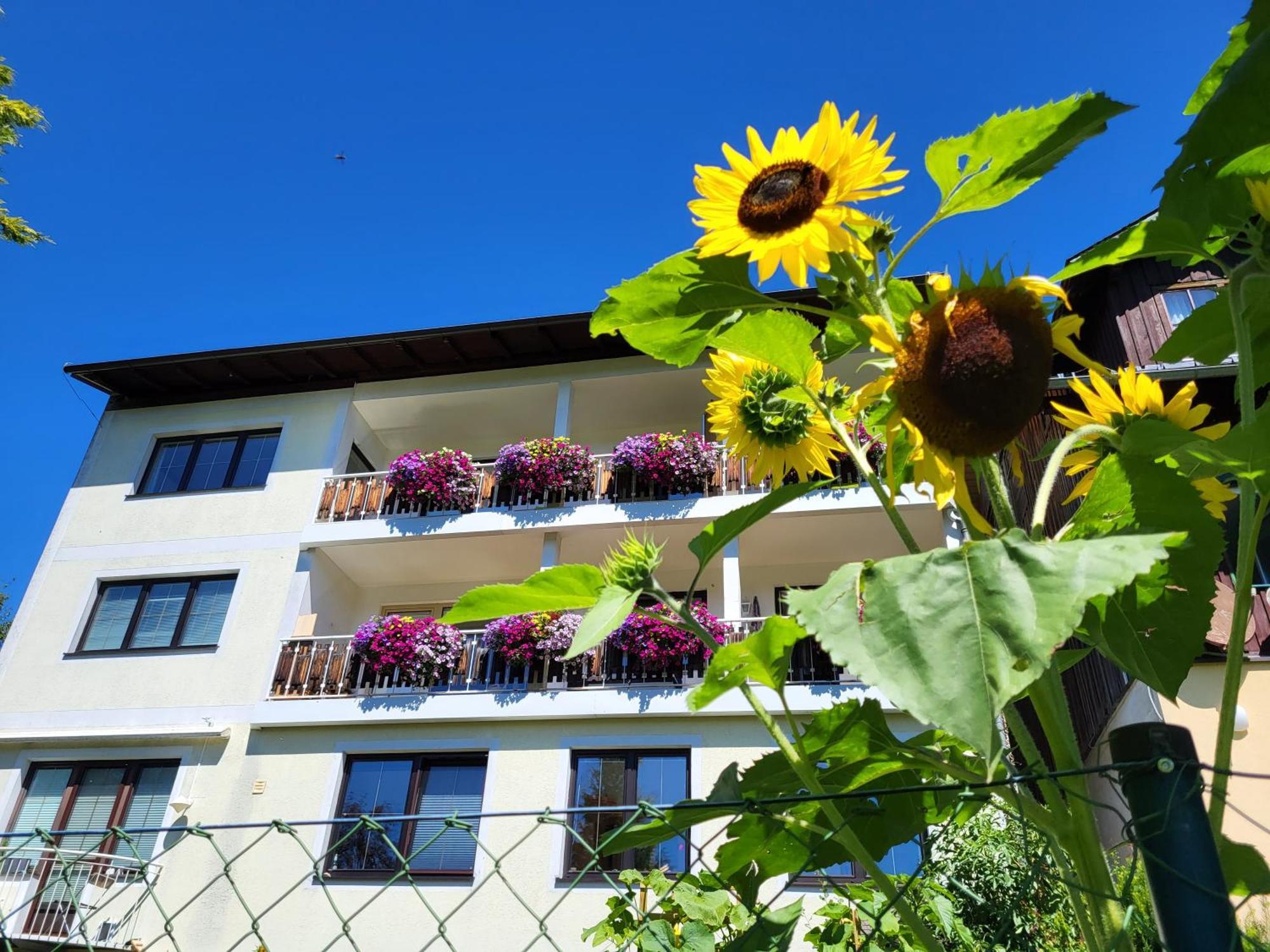 Gaestehaus Herma Ramsau am Dachstein Eksteriør bilde