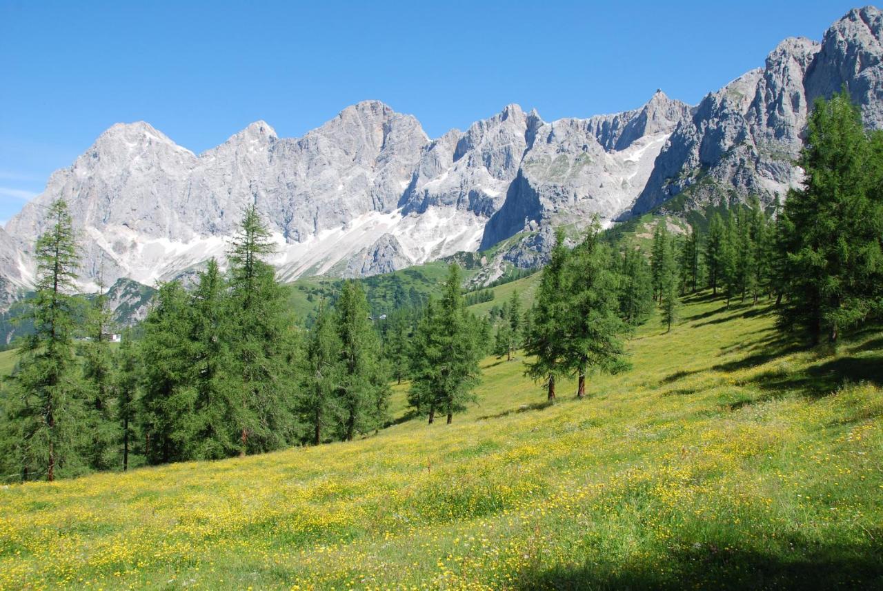 Gaestehaus Herma Ramsau am Dachstein Eksteriør bilde