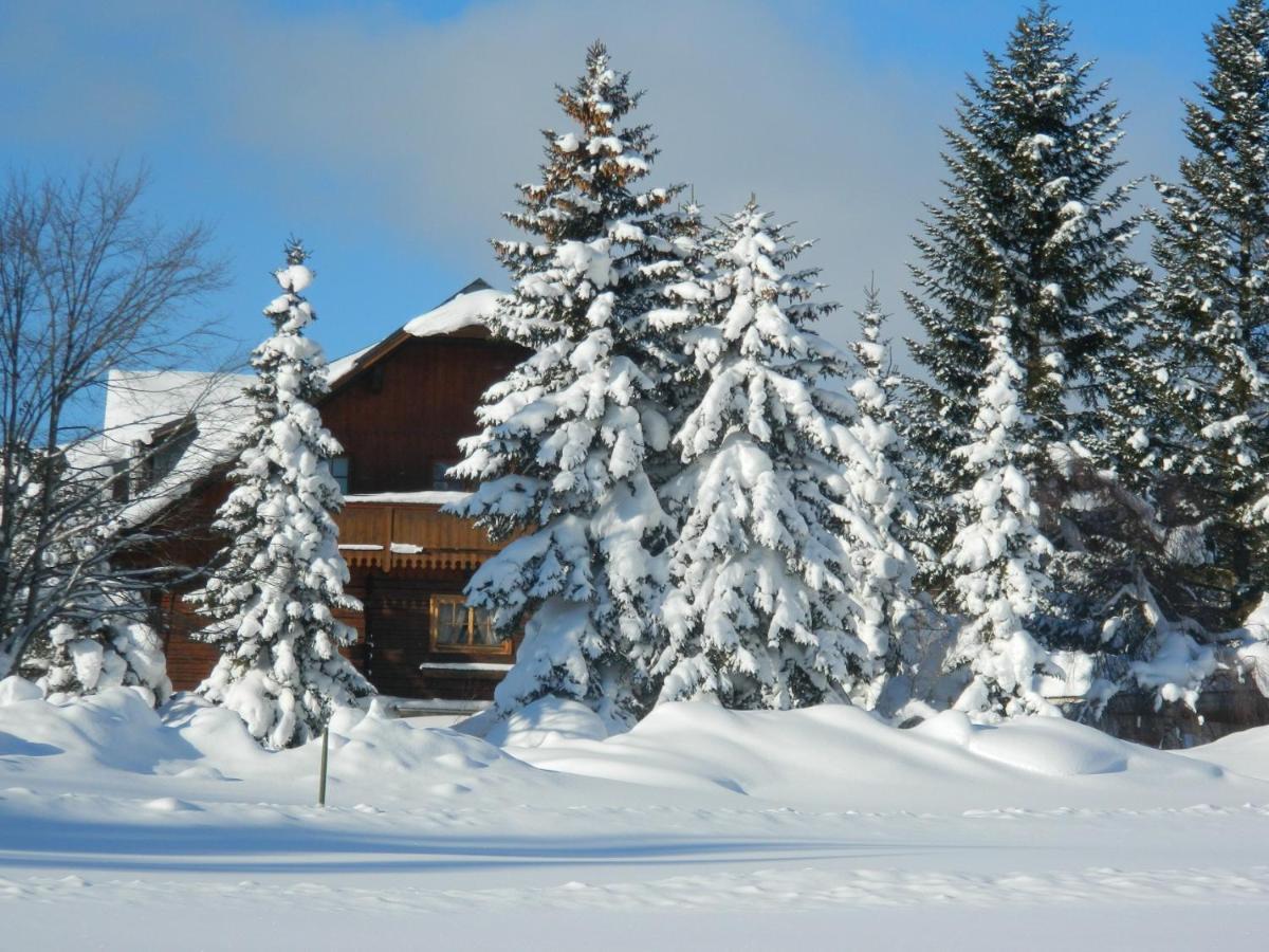 Gaestehaus Herma Ramsau am Dachstein Eksteriør bilde